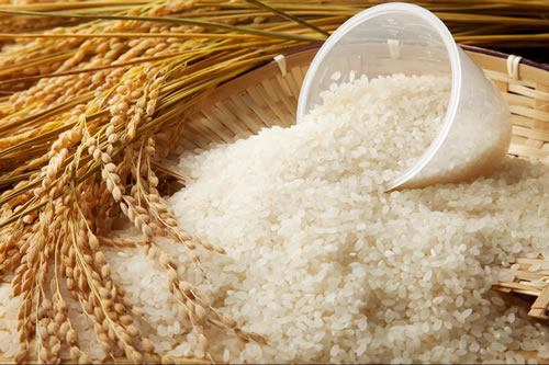 米へのこだわり